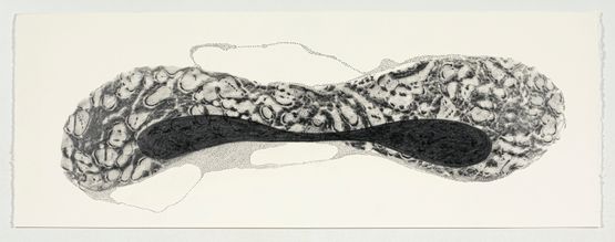 The Sound of Water 1 by Manisha Parekh contemporary artwork Works on Paper