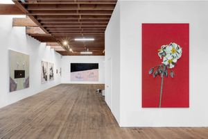 Group Exhibition