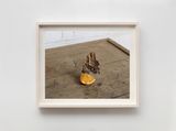 Philadelphia Pennsylvania. by Alec Soth contemporary artwork painting