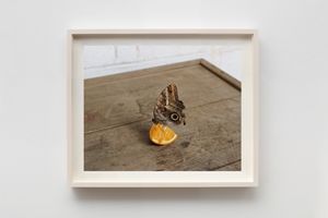 Alec Soth