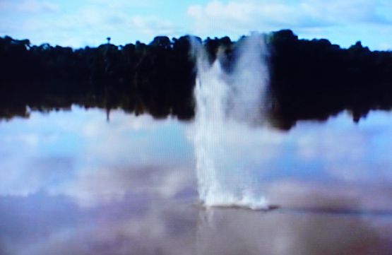 El Rio by Alberto Baraya contemporary artwork Moving Image