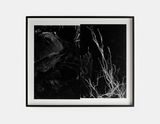 Inversion 1 by Willie Doherty contemporary artwork print