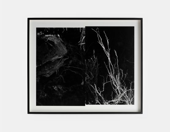 Inversion 1 by Willie Doherty contemporary artwork Print