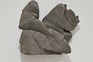 Shigeo Toya