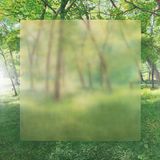 Frosted Window117 by Kisho Kakutani contemporary artwork painting