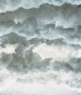 Forces 13 by Sonja Braas contemporary artwork photography