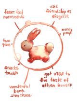 Bunnies of Okunoshima by Bianca Kennedy contemporary artwork painting works on paper