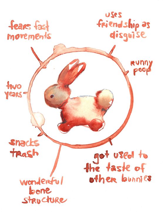 Bunnies of Okunoshima by Bianca Kennedy contemporary artwork Painting