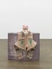 Pembina by Liz Magor contemporary artwork Mixed Media