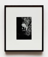 Papoco by Gabriel Branco contemporary artwork painting