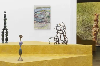 Contemporary art exhibition Diambe Da Silva Bees beings beans at Kunsthalle Basel Switzerland