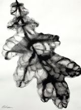 Reflections Nature Series 4 by Barbara Edelstein contemporary artwork drawing painting works on paper