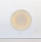 Pearlescent Bindu by Theo Pinto contemporary artwork painting