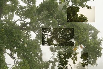 Contemporary art exhibition Eija-Liisa Ahtila On Breathing at Galerie Marian Goodman Paris France