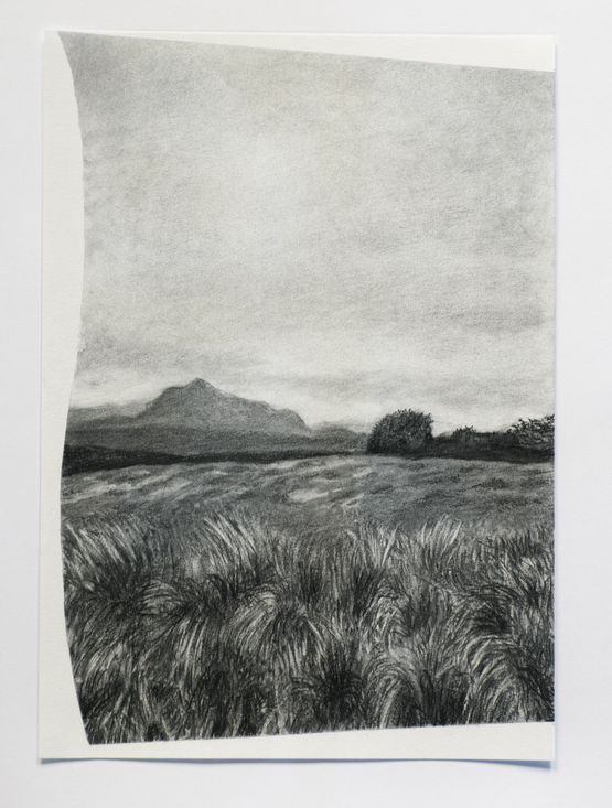 Horton plains 1 by Muhanned Cader contemporary artwork Works on Paper