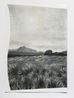 Horton plains 1 by Muhanned Cader contemporary artwork Works on Paper