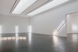 Dan Flavin