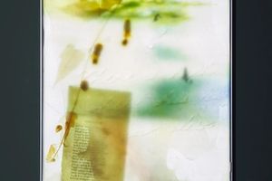 Heemin Chung