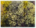 Hedge at the End of the World by Dane Lovett contemporary artwork Painting