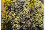 Dane Lovett contemporary artist