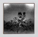 Untitled by Ziad Antar contemporary artwork photography works on paper