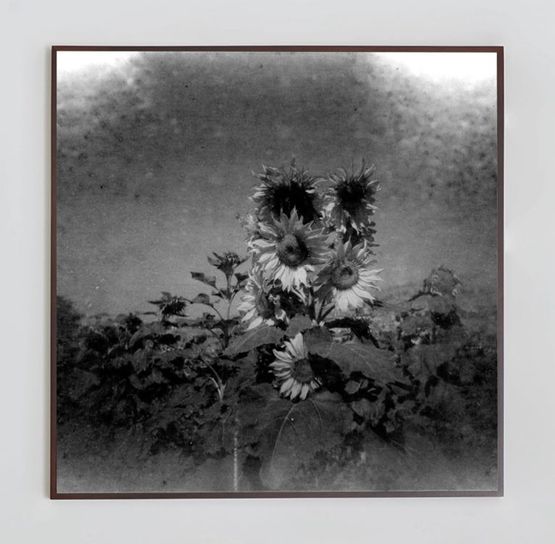 Untitled by Ziad Antar contemporary artwork Works on Paper