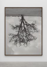 Oak Banford by Rodney Graham contemporary artwork photography print