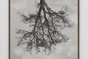 Rodney Graham
