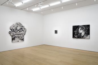 Contemporary art exhibition Anna Park Anna Park House Rules at Lehmann Maupin 501 West 24th Street New York United States