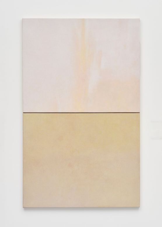Mass by Hiroto Tomonaga contemporary artwork Painting