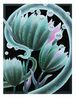 Breath by Mevlana Lipp contemporary artwork Painting