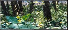 From a bees perspective by Azade Koker contemporary artwork Painting
