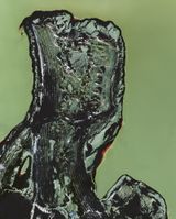 Foresight No.16  No. 19 by Jiang Pengyi contemporary artwork mixed media