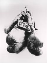 Boxing Gloves Everlast by TR Ericsson contemporary artwork drawing