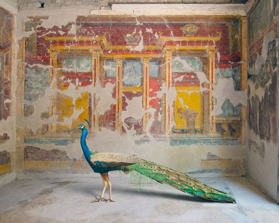 Heras Eyes Oplontis Villa Pompeii by Karen Knorr contemporary artwork Photography
