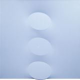 3 ovali azzurri by Turi Simeti contemporary artwork painting