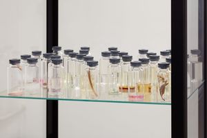 Making Scents Why Olfactory Art Is Having a Moment