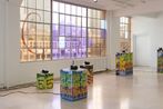 Raque Ford contemporary artist