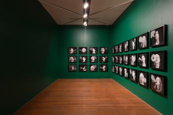 Contemporary art exhibition Julie Rrap Blow Back at Roslyn Oxley9 Gallery Sydney Australia