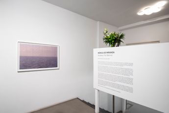 Contemporary art exhibition Monica De Miranda Shadows Fall Behind at Sabrina Amrani Madera 23 Madrid Spain