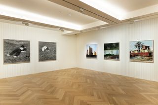 Contemporary art exhibition Yto Barrada Yto Barrada at Pace Gallery Seoul South Korea