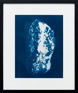 Earthly Perseids by Itamar Gov contemporary artwork photography