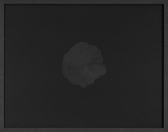 Untitled by Waqas Khan contemporary artwork Drawing