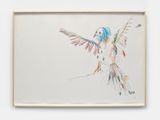 Lanner falcon by Lera Derkach contemporary artwork mixed media works on paper