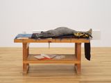 Stall by Liz Magor contemporary artwork sculpture