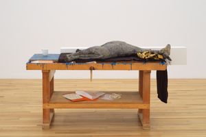 Liz Magor