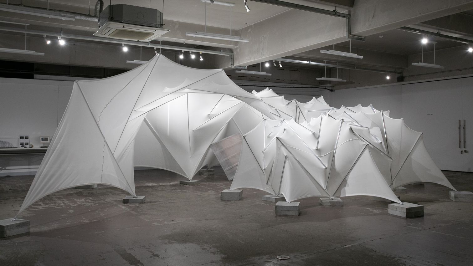 Showcasing Osaka’s Evolving Collector Scene as World Expo Lights up the City