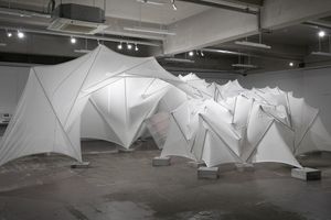 Showcasing Osakas Evolving Collector Scene as World Expo Lights up the City