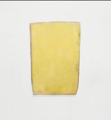 Untitled yellow frame painting  4 by Lawrence Carroll contemporary artwork painting