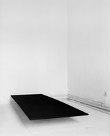 Trap II by Becky Beasley contemporary artwork photography